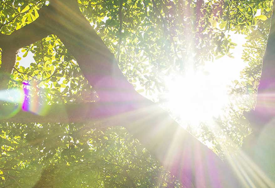 praxis carpe diem – Systemische Fallsupervision